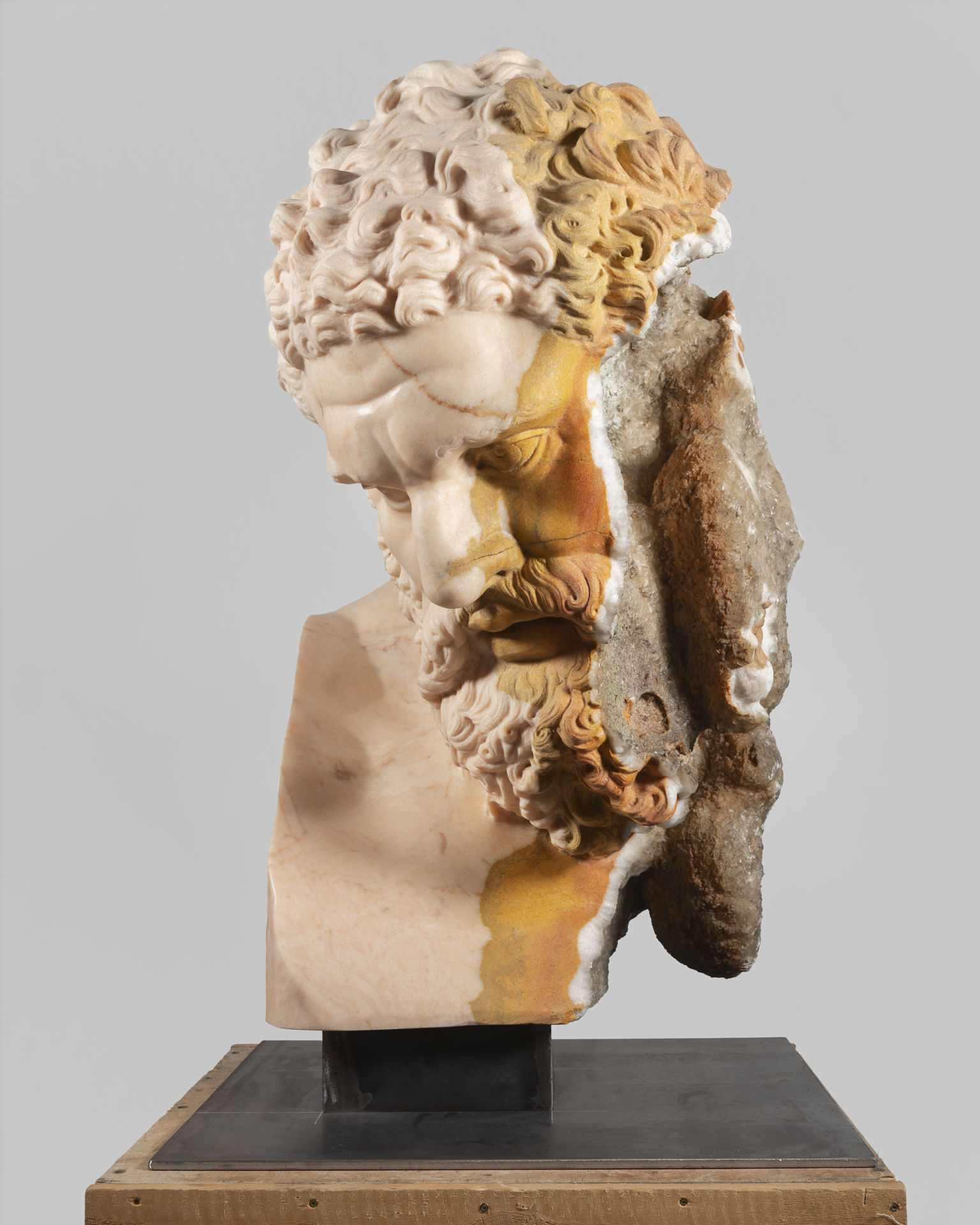 Ercole