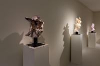 Massimiliano Pelletti - Metamorfosi