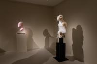 Massimiliano Pelletti - Metamorfosi