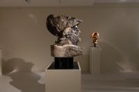 Massimiliano Pelletti - Metamorfosi