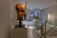 Massimiliano Pelletti - Metamorfosi