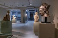 Massimiliano Pelletti - Metamorfosi