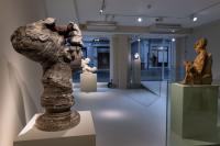 Massimiliano Pelletti - Metamorfosi