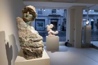 Massimiliano Pelletti - Metamorfosi