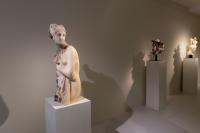 Massimiliano Pelletti - Metamorfosi