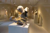 Massimiliano Pelletti - Metamorfosi