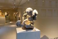 Massimiliano Pelletti - Metamorfosi