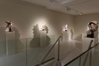 Massimiliano Pelletti - Metamorfosi