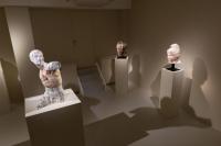 Massimiliano Pelletti - Metamorfosi