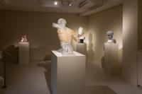 Massimiliano Pelletti - Metamorfosi