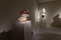 Massimiliano Pelletti - Metamorfosi