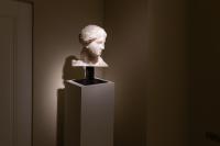 Massimiliano Pelletti - Metamorfosi