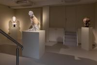 Massimiliano Pelletti - Metamorfosi