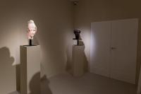 Massimiliano Pelletti - Metamorfosi