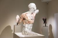 Massimiliano Pelletti - Metamorfosi