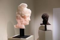 Massimiliano Pelletti - Metamorfosi