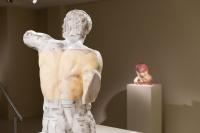 Massimiliano Pelletti - Metamorfosi