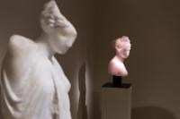 Massimiliano Pelletti - Metamorfosi