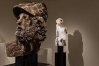 Massimiliano Pelletti - Metamorfosi